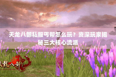 天龙八部私服丐帮怎么玩?资深玩家揭秘三大核心流派 天龙八部私服丐帮怎么玩?资深玩家揭秘三大核心流派