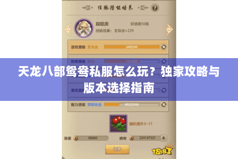 天龙八部鸳鸯私服怎么玩？独家攻略与版本选择指南