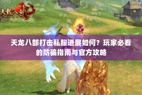 天龙八部打击私服进展如何？玩家必看的防骗指南与官方攻略