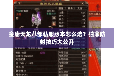 金庸天龙八部私服版本怎么选？独家防封技巧大公开