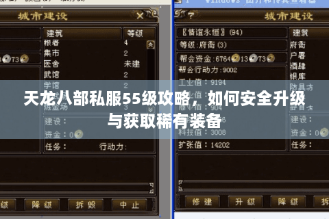 天龙八部私服55级攻略,如何安全升级与获取稀有装备 天龙八部私服55级攻略,如何安全升级与获取稀有装备