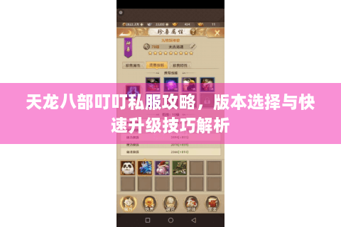 天龙八部叮叮私服攻略，版本选择与快速升级技巧解析