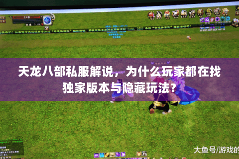 天龙八部私服解说，为什么玩家都在找独家版本与隐藏玩法？
