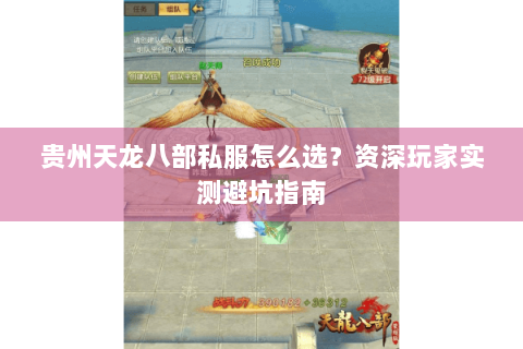 贵州天龙八部私服怎么选?资深玩家实测避坑指南 贵州天龙八部私服怎么选?资深玩家实测避坑指南