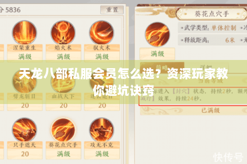 天龙八部私服会员怎么选?资深玩家教你避坑诀窍 天龙八部私服会员怎么选?资深玩家教你避坑诀窍