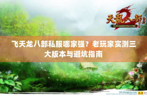 飞天龙八部私服哪家强?老玩家实测三大版本与避坑指南 飞天龙八部私服哪家强?老玩家实测三大版本与避坑指南