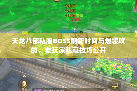 天龙八部私服BOSS刷新时间与爆装攻略，老玩家私藏技巧公开