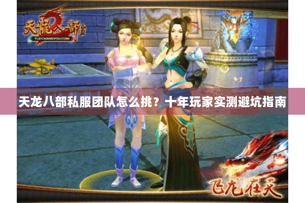 天龙八部私服团队怎么挑?十年玩家实测避坑指南 天龙八部私服团队怎么挑?十年玩家实测避坑指南
