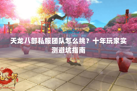 天龙八部私服团队怎么挑?十年玩家实测避坑指南 天龙八部私服团队怎么挑?十年玩家实测避坑指南