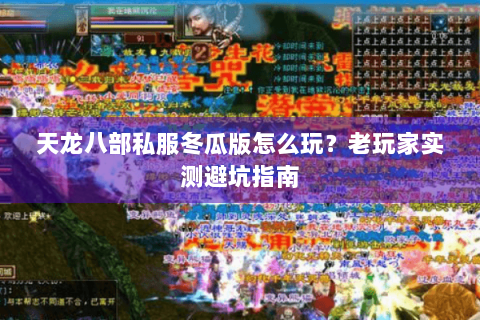 天龙八部私服冬瓜版怎么玩？老玩家实测避坑指南