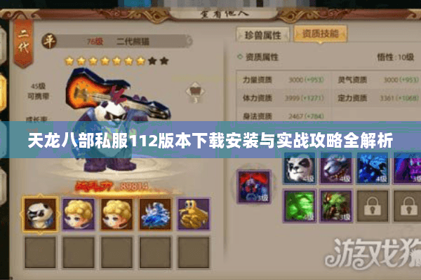 天龙八部私服112版本下载安装与实战攻略全解析