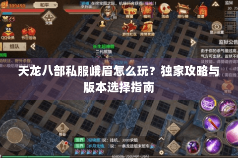 天龙八部私服峨眉怎么玩？独家攻略与版本选择指南