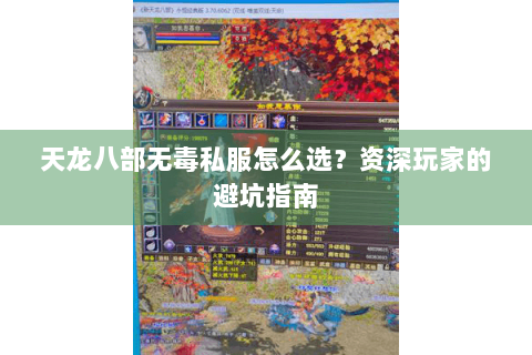 天龙八部无毒私服怎么选?资深玩家的避坑指南 天龙八部无毒私服怎么选?资深玩家的避坑指南