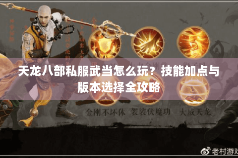 天龙八部私服武当怎么玩?技能加点与版本选择全攻略 天龙八部私服武当怎么玩?技能加点与版本选择全攻略