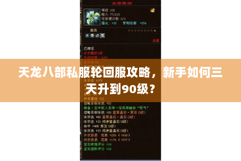 天龙八部私服轮回服攻略，新手如何三天升到90级？