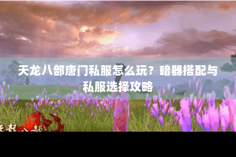 天龙八部唐门私服怎么玩？暗器搭配与私服选择攻略