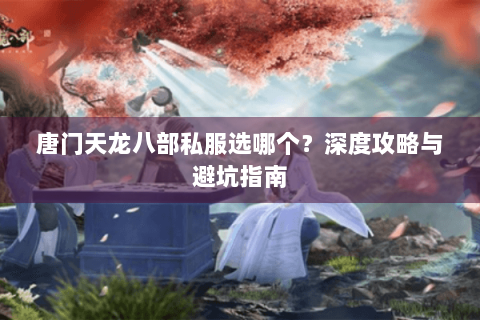 唐门天龙八部私服选哪个？深度攻略与避坑指南