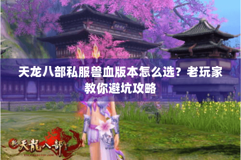 天龙八部私服兽血版本怎么选?老玩家教你避坑攻略 天龙八部私服兽血版本怎么选?老玩家教你避坑攻略