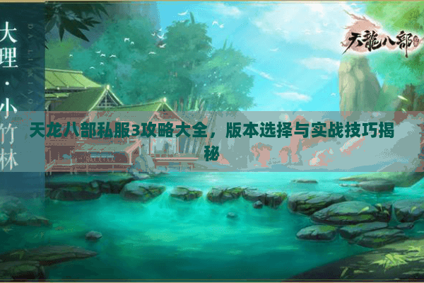 天龙八部私服3攻略大全，版本选择与实战技巧揭秘
