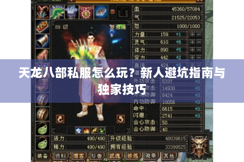 天龙八部私服怎么玩?新人避坑指南与独家技巧 天龙八部私服怎么玩?新人避坑指南与独家技巧