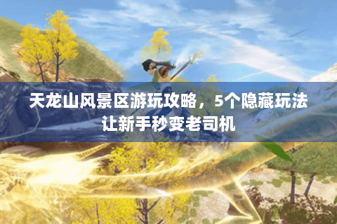 天龙山风景区游玩攻略，5个隐藏玩法让新手秒变老司机