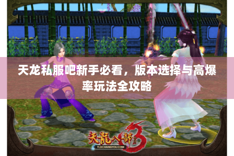 天龙私服吧新手必看,版本选择与高爆率玩法全攻略 天龙私服吧新手必看,版本选择与高爆率玩法全攻略