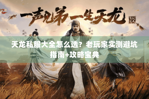 天龙私服大全怎么选？老玩家实测避坑指南+攻略宝典