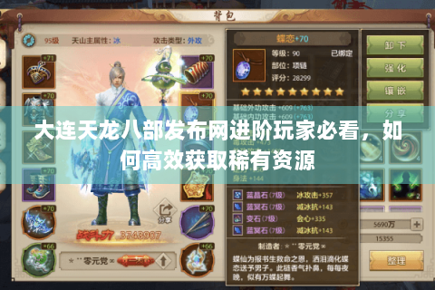 大连天龙八部发布网进阶玩家必看，如何高效获取稀有资源