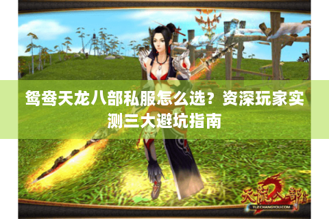 鸳鸯天龙八部私服怎么选?资深玩家实测三大避坑指南 鸳鸯天龙八部私服怎么选?资深玩家实测三大避坑指南