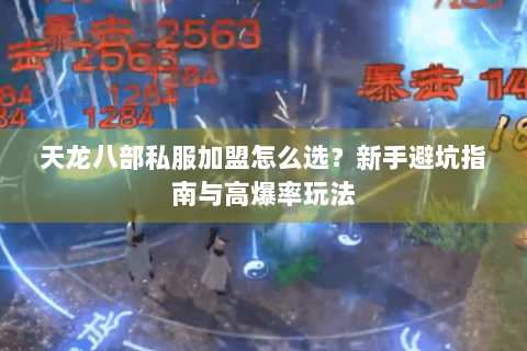 天龙八部私服加盟怎么选?新手避坑指南与高爆率玩法 天龙八部私服加盟怎么选?新手避坑指南与高爆率玩法