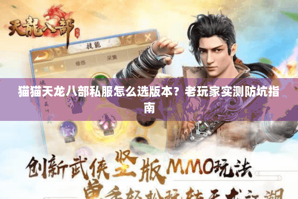 猫猫天龙八部私服怎么选版本？老玩家实测防坑指南