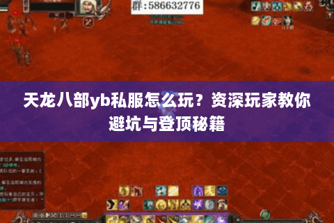 天龙八部yb私服怎么玩？资深玩家教你避坑与登顶秘籍