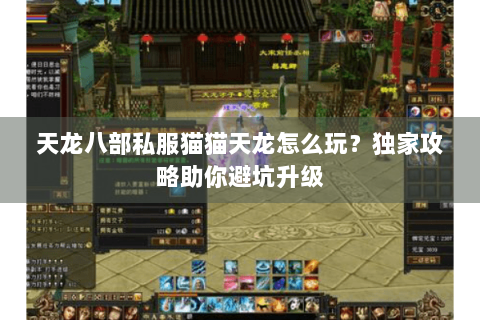 天龙八部私服猫猫天龙怎么玩?独家攻略助你避坑升级 天龙八部私服猫猫天龙怎么玩?独家攻略助你避坑升级