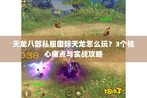 天龙八部私服国际天龙怎么玩？3个核心痛点与实战攻略