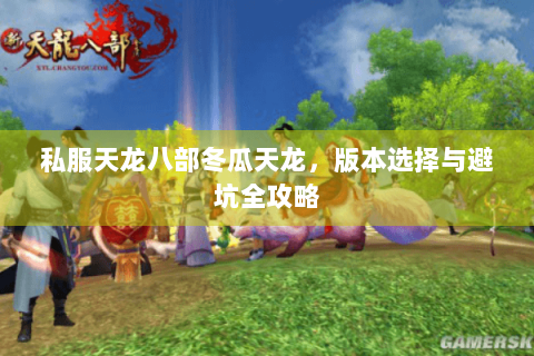 私服天龙八部冬瓜天龙，版本选择与避坑全攻略