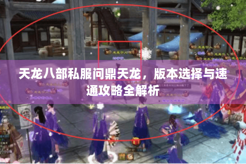 天龙八部私服问鼎天龙,版本选择与速通攻略全解析 天龙八部私服问鼎天龙,版本选择与速通攻略全解析