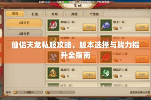仙侣天龙私服攻略，版本选择与战力提升全指南