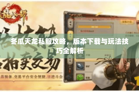 冬瓜天龙私服攻略，版本下载与玩法技巧全解析