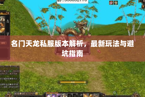 名门天龙私服版本解析,最新玩法与避坑指南 名门天龙私服版本解析,最新玩法与避坑指南