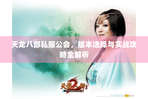 天龙八部私服公会，版本选择与实战攻略全解析
