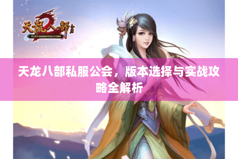 天龙八部私服公会，版本选择与实战攻略全解析