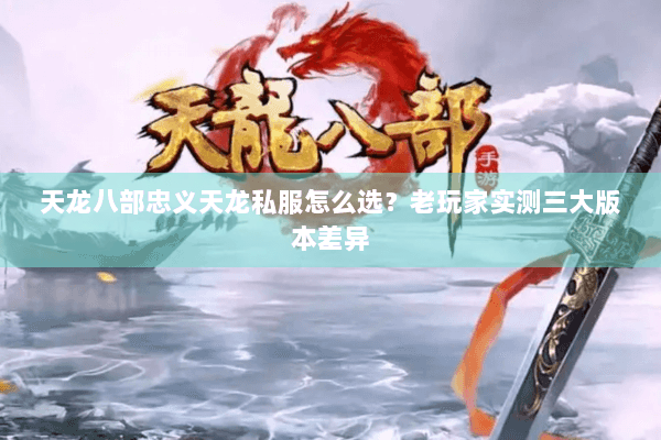 天龙八部忠义天龙私服怎么选？老玩家实测三大版本差异