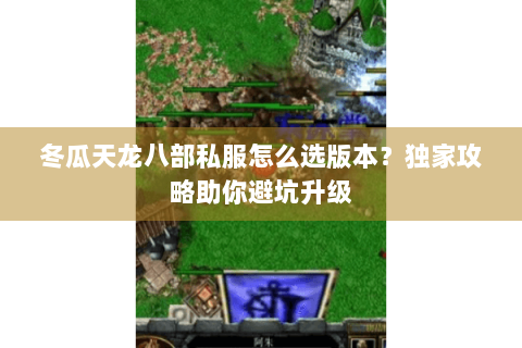 冬瓜天龙八部私服怎么选版本？独家攻略助你避坑升级