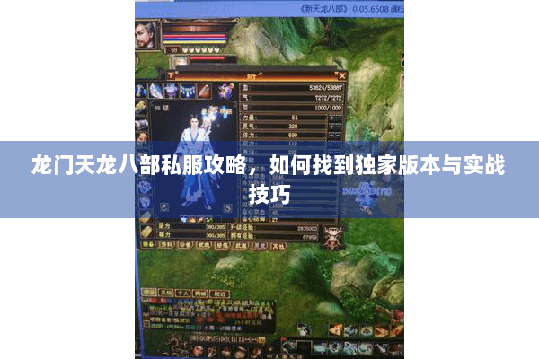 龙门天龙八部私服攻略，如何找到独家版本与实战技巧