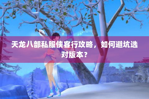 天龙八部私服侠客行攻略,如何避坑选对版本? 天龙八部私服侠客行攻略,如何避坑选对版本?