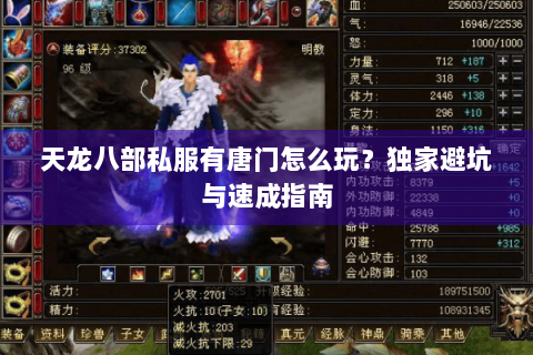 天龙八部私服有唐门怎么玩?独家避坑与速成指南 天龙八部私服有唐门怎么玩?独家避坑与速成指南