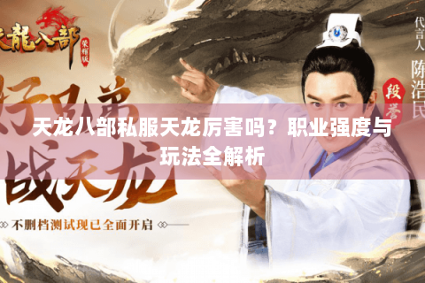 天龙八部私服天龙厉害吗？职业强度与玩法全解析