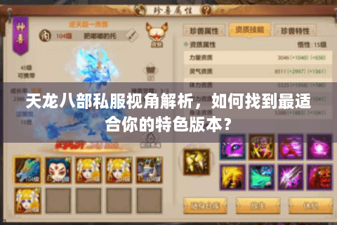 天龙八部私服视角解析，如何找到最适合你的特色版本？