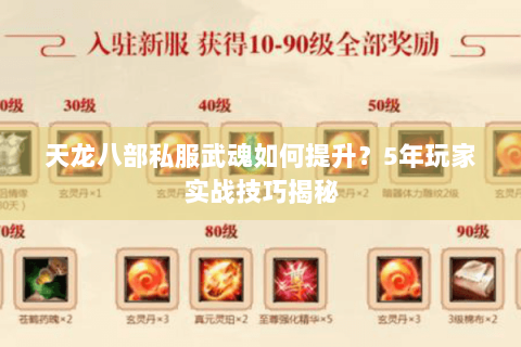 天龙八部私服武魂如何提升?5年玩家实战技巧揭秘 天龙八部私服武魂如何提升?5年玩家实战技巧揭秘