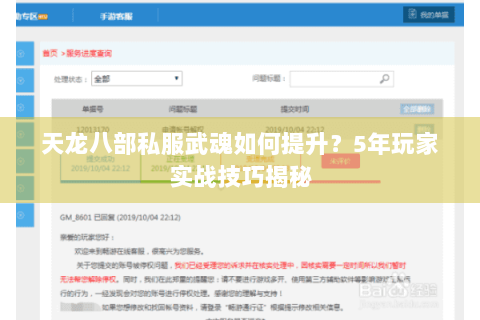 天龙八部私服武魂如何提升?5年玩家实战技巧揭秘 天龙八部私服武魂如何提升?5年玩家实战技巧揭秘